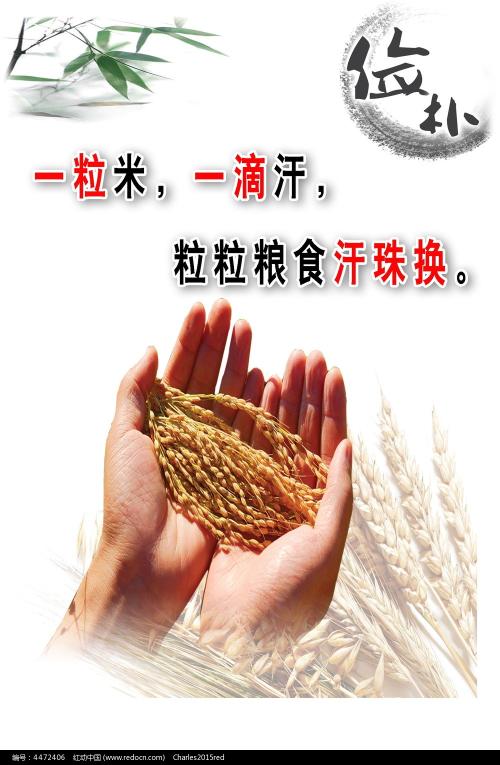 香港结婚证图片 样本